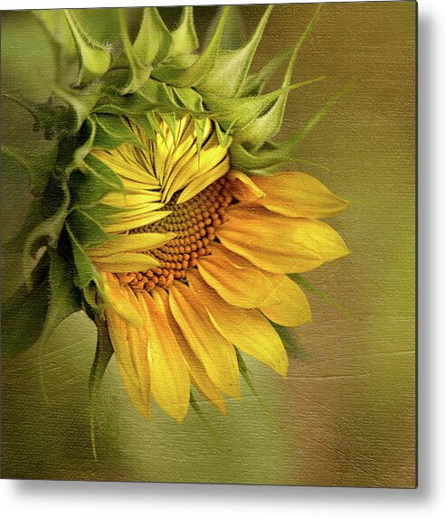 Fragility Metal Print featuring the photograph Summers Beauty by Betty Wiley
