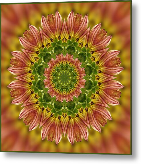 Sunflower Metal Print featuring the photograph Summertime Mix Sunflower Kaleidoscope by Liz Mackney