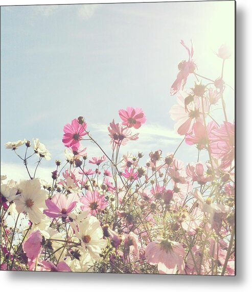 Outdoors Metal Print featuring the photograph Sun Shining Through Pink And White by Jodie Griggs