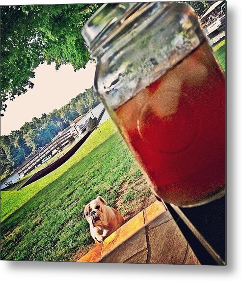 Bothebulldog Metal Print featuring the photograph Sunday Mornin Back Porch Sweet-tea Time by Big Sexy