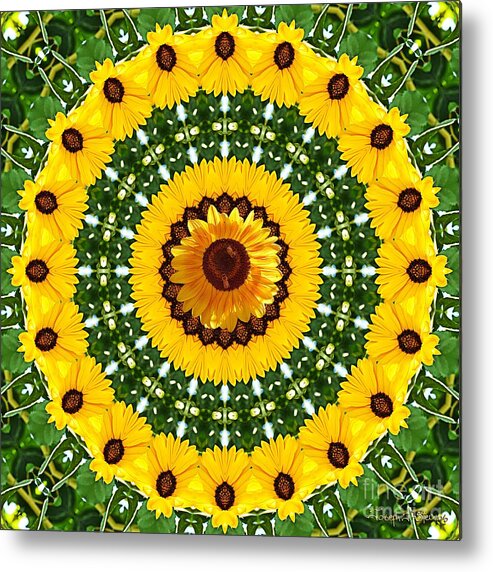Sunflower Picture Metal Print featuring the photograph Sunflower Centerpiece by Joseph J Stevens