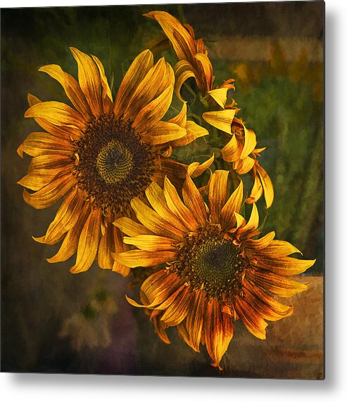 Sunflowers Metal Print featuring the photograph Sunflower Trio by Priscilla Burgers