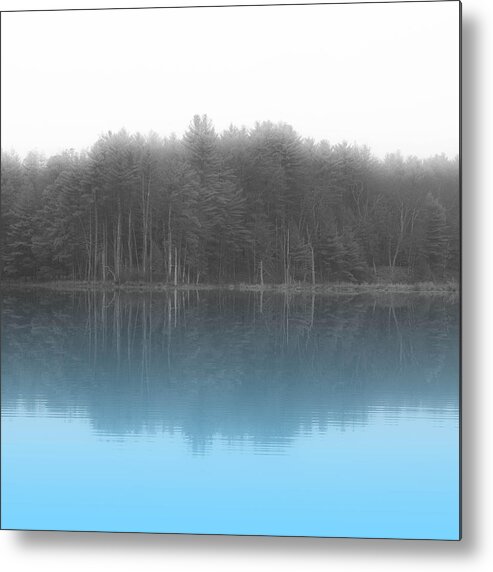 Pennington Metal Print featuring the photograph Sunny Side by George Pennington