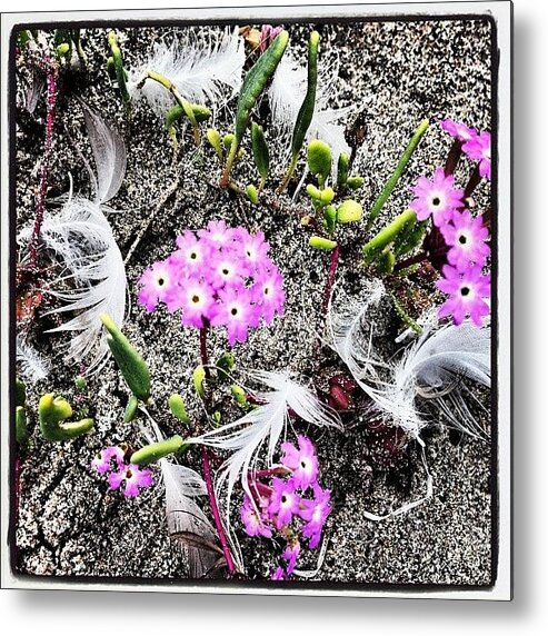 Surf Metal Print featuring the photograph #sunsetbeach #norcal #monterey by Kenneth Van Doren