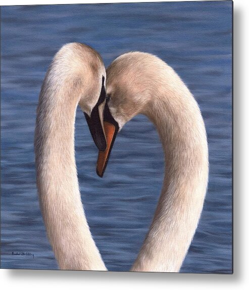 Swan Metal Print featuring the painting Swans Painting by Rachel Stribbling