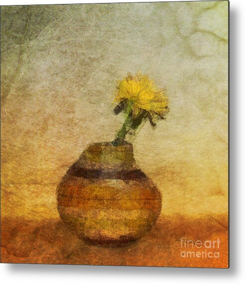 Still Life Metal Print featuring the photograph Terra Flora by Aimelle Ml