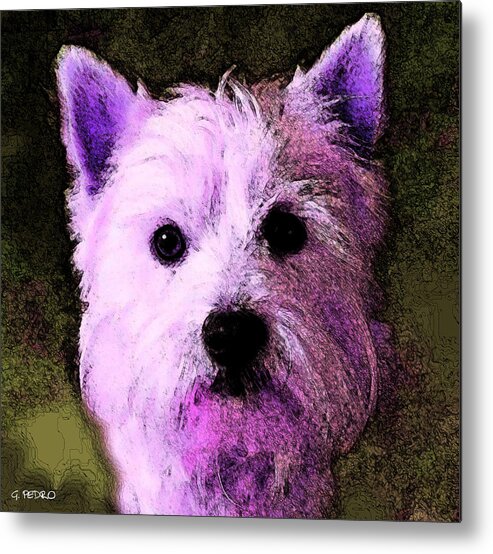 White Metal Print featuring the painting Terrier Love by George Pedro