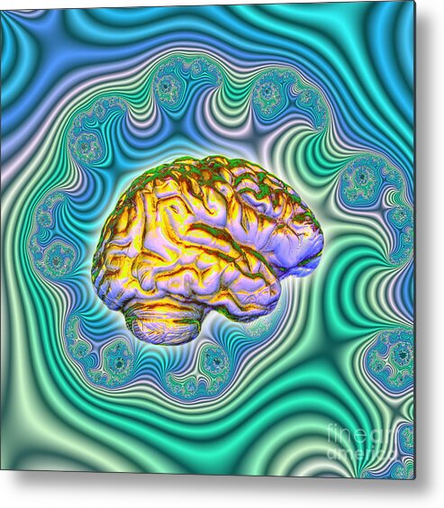 Brain Metal Print featuring the photograph The Brain by Dennis D. Potokar