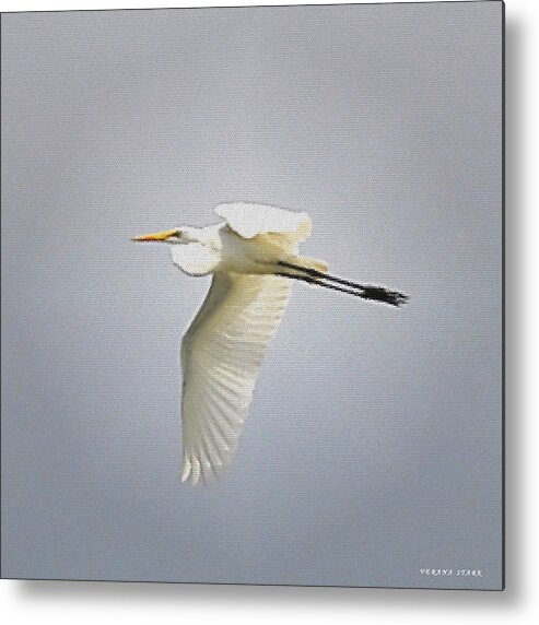 Great Egret Metal Print featuring the photograph The Flight of the Great Egret with the Stained Glass Look by Verana Stark