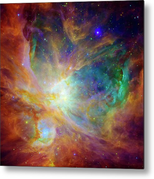 Universe Metal Print featuring the photograph The Hatchery by Jennifer Rondinelli Reilly - Fine Art Photography
