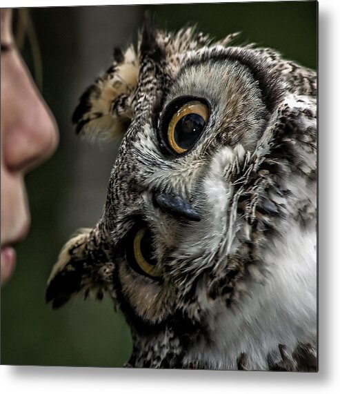 Owl Metal Print featuring the photograph The Owl Whisperer by Phil Cardamone