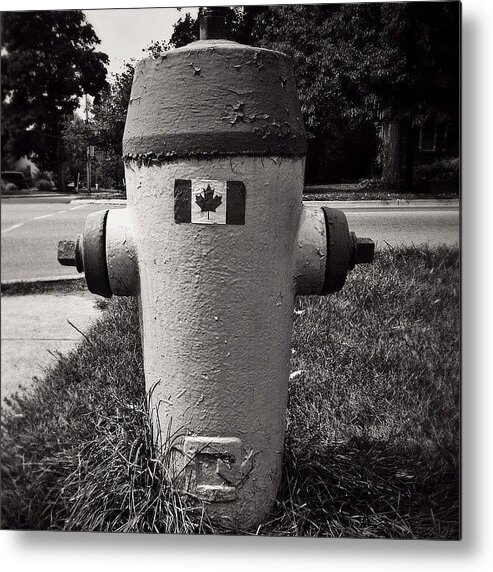 Canada Metal Print featuring the photograph The Patriotic Fire Hydrant! by Eduardo Tavares