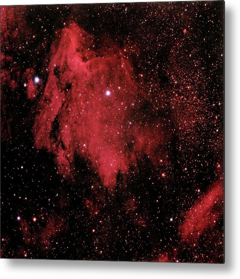 Scenics Metal Print featuring the photograph The Pelican Nebula In Cygnus by A. V. Ley