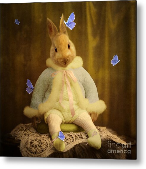 Rabbit Metal Print featuring the photograph The Poet by Martine Roch
