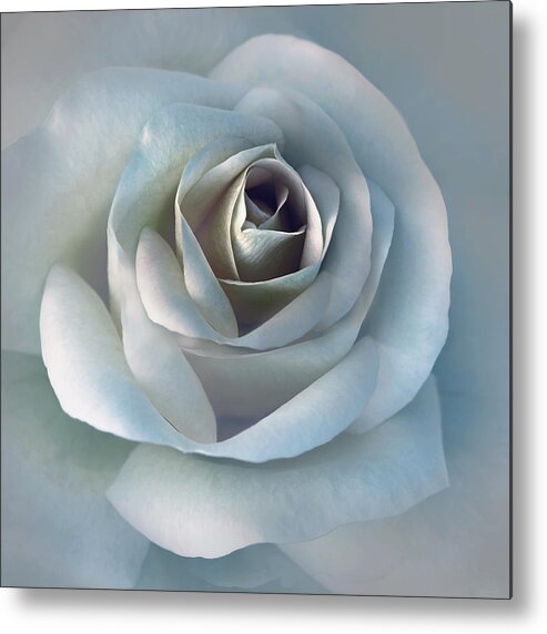Rose Metal Print featuring the photograph The Silver Luminous Rose Flower by Jennie Marie Schell
