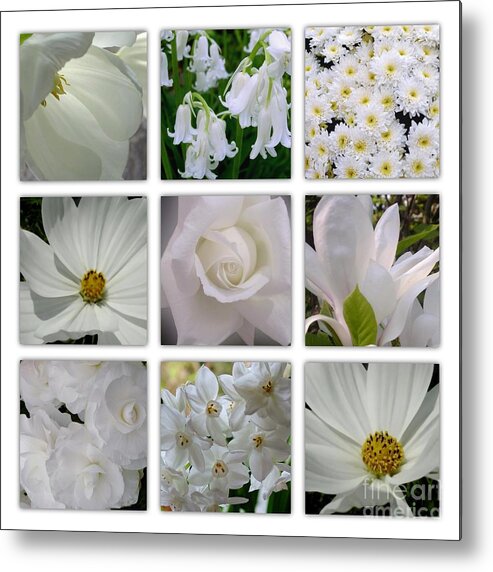 White Flowers Metal Print featuring the photograph Through The White Picture Window by Joan-Violet Stretch