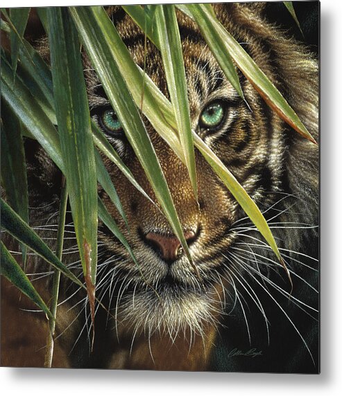 Tiger Art Metal Print featuring the painting Tiger Eyes by Collin Bogle