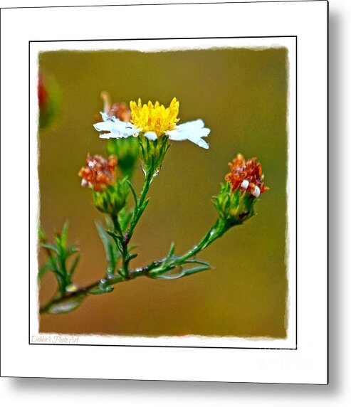 Tiny Metal Print featuring the photograph Tiny Wildflowers 1 - White frame by Debbie Portwood