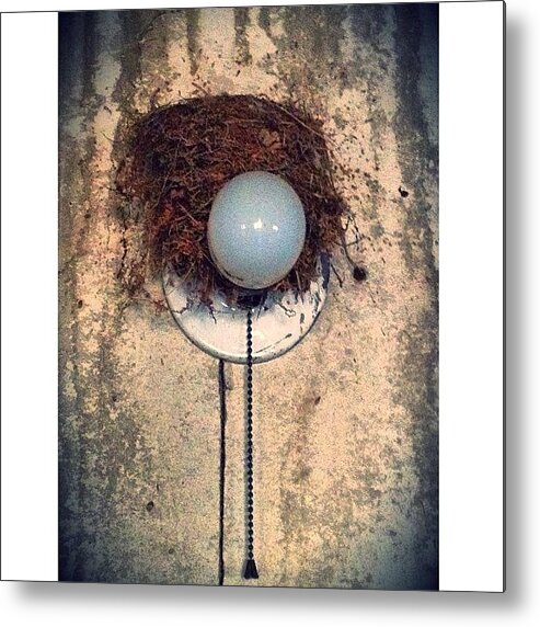  Metal Print featuring the photograph “to Be Fully Alive, Fully Human, And by Sonia Pitts