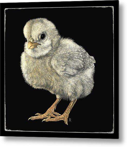 Chick Metal Print featuring the drawing Tough Chick by Ann Ranlett