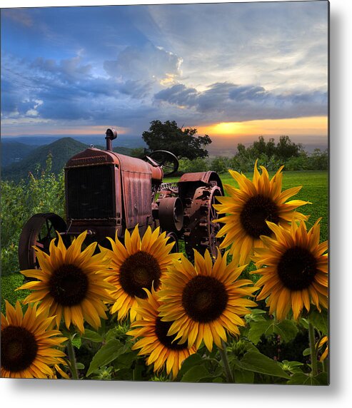 Appalachia Metal Print featuring the photograph Tractor Heaven by Debra and Dave Vanderlaan