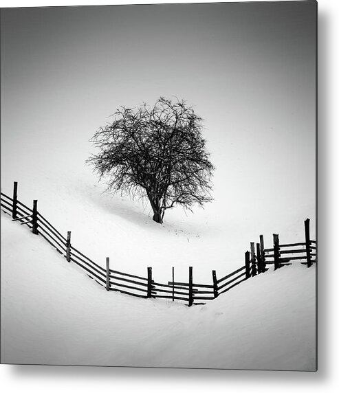 Tree Metal Print featuring the photograph Trapped by Martin Rak