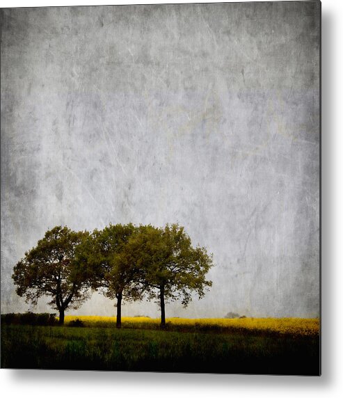 Tree Metal Print featuring the photograph Trees at Sunrise by Carol Leigh