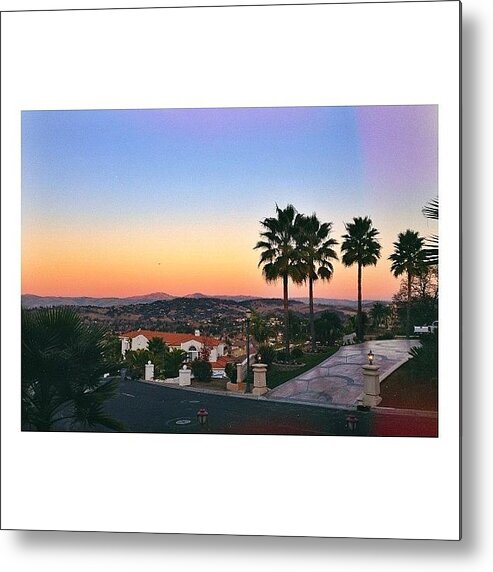 Palm Trees In California Metal Print featuring the photograph California Palms by Ariana Moshref
