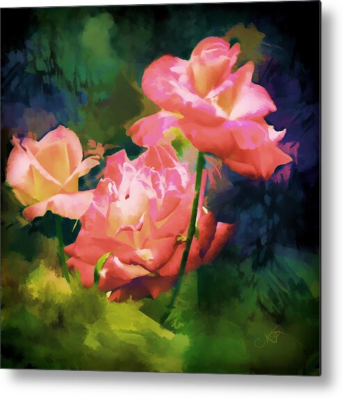 Roses Metal Print featuring the photograph Tripple Roses by Dale Stillman