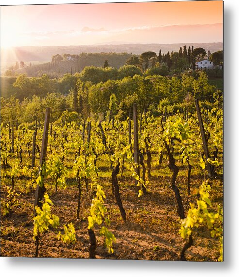 Scenics Metal Print featuring the photograph Vineyard At Chianti Region Hills On by Franckreporter