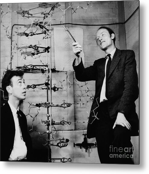 Watson Metal Print featuring the photograph Watson and Crick with DNA Model by A Barrington Brown