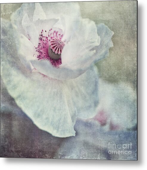 Poppy Metal Print featuring the photograph White And Pink by Priska Wettstein