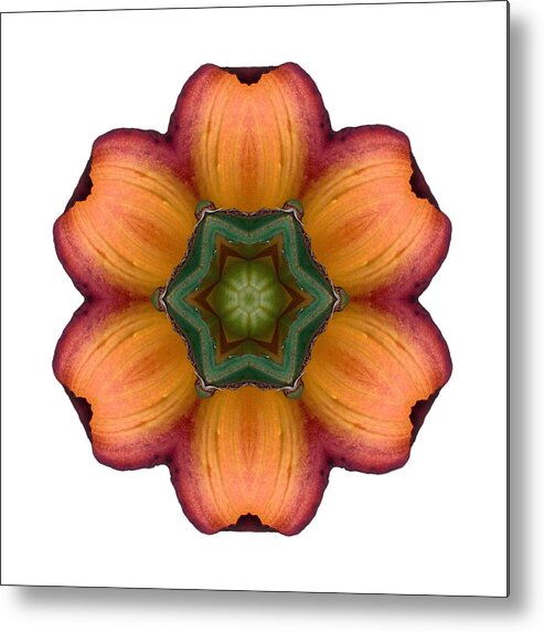 Flower Metal Print featuring the photograph Daylily I Flower Mandala White by David J Bookbinder