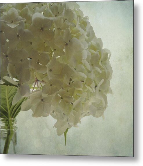 Sally Banfill Metal Print featuring the photograph White Hydrangea by Sally Banfill