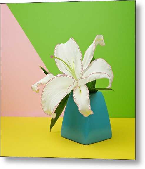 Vase Metal Print featuring the photograph White Lily Flower In Blue Vase by Juj Winn