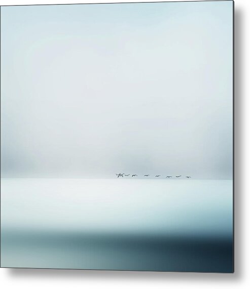 Sea Metal Print featuring the photograph Wild Geese by Piet Flour