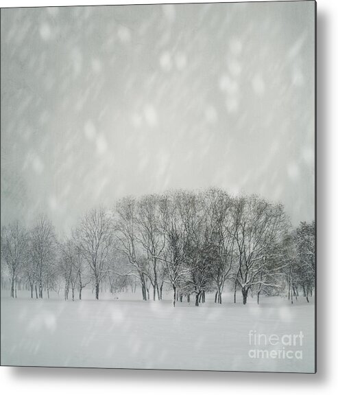 Winter Metal Print featuring the photograph Winter by Jelena Jovanovic