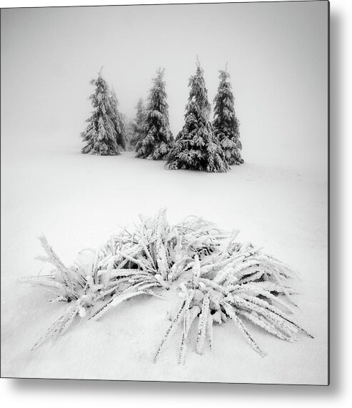 Tschechische Metal Print featuring the photograph Winter Scenery by Daniel ?e?icha