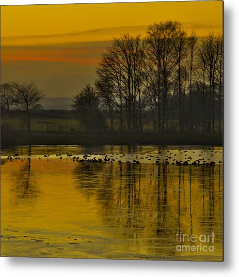 Sunset Metal Print featuring the photograph Winter Sunset by Martyn Arnold