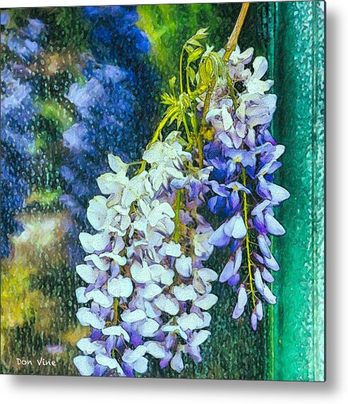  Metal Print featuring the photograph Wisteria After the Rain by Don Vine