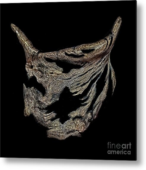 Oak Metal Print featuring the photograph Wood 422 by Walt Foegelle