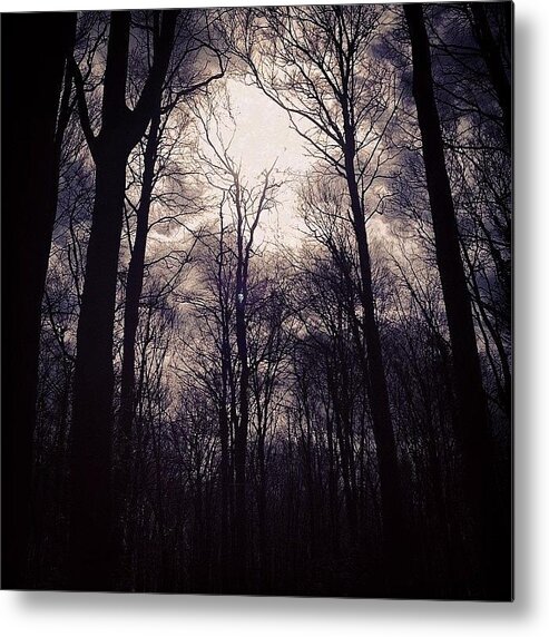 Gloucetershire Metal Print featuring the photograph #woods #woodland #trees #treesporn by Natty S