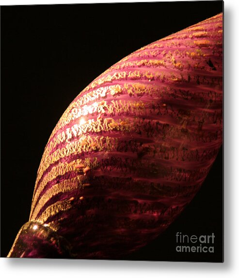  Metal Print featuring the photograph Yearning by Eileen Gayle