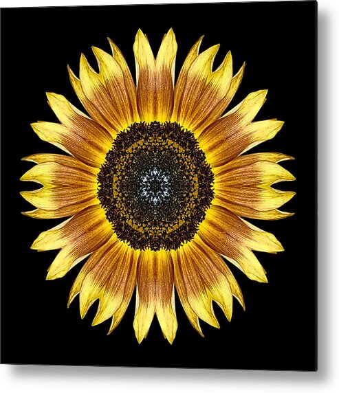 Flower Metal Print featuring the photograph Yellow and Brown Sunflower Flower Mandala by David J Bookbinder