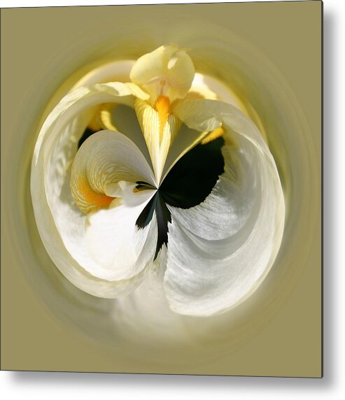 Flowers Metal Print featuring the photograph Yellow Iris 101 by Jim Baker