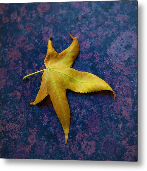 Leaf Image Posters Metal Print featuring the photograph Yellow Leaf On Marble by David Davies