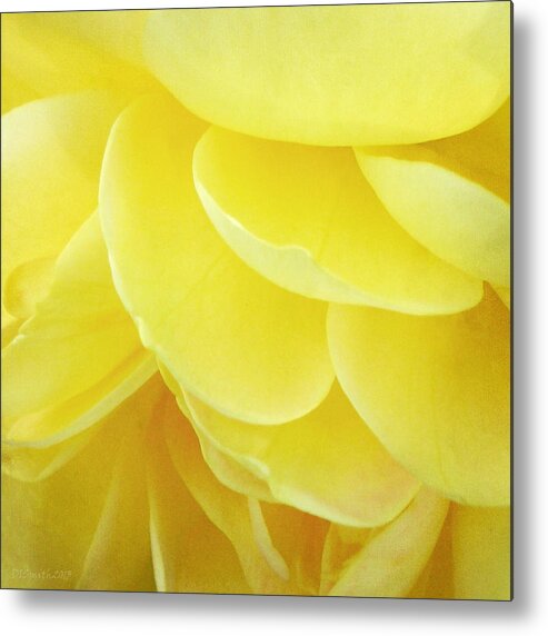 Flower Metal Print featuring the photograph Yellow Petals by Deborah Smith