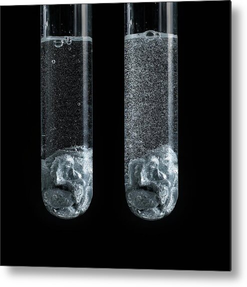 Acid Metal Print featuring the photograph Zinc Reaction With Strong And Weak Acid by Science Photo Library