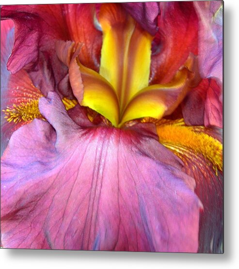 Iris Metal Print featuring the photograph Burgundy Iris #1 by Randy Rosenberger