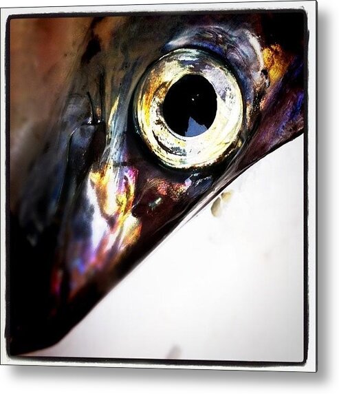 Rptw Metal Print featuring the photograph Fishy #1 by Robbert Ter Weijden